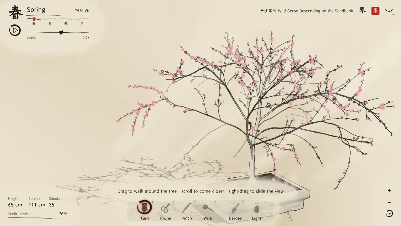 A plum bonsai in blossom, drawn in Chinese ink on cream paper, with a ring to turn the pot.