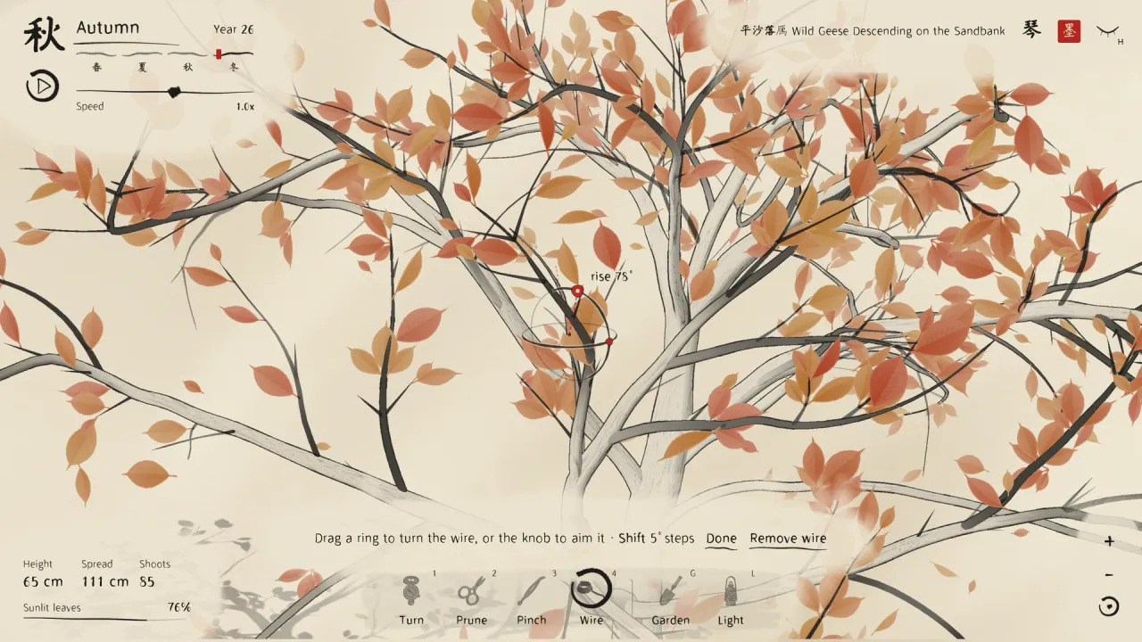 Wiring a branch of an ink-drawn plum bonsai in autumn: a ring on the branch sets the direction of the bend.